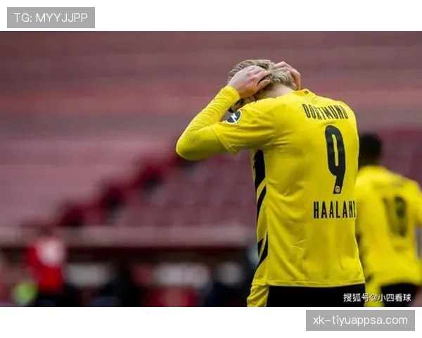 哈兰德被高估与否：数据、荣誉与比赛影响力的多维审视